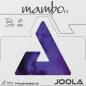 Mobile Preview: Joola Mambo H