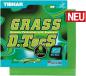 Preview: Tibhar Grass D.Tecs GS
