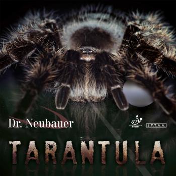 Dr. Neubauer Tarantula
