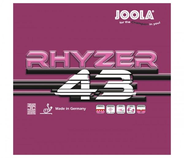 Joola Belag Rhyzer 43